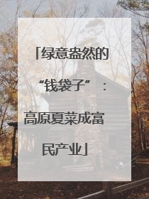 绿意盎然的“钱袋子”：高原夏菜成富民产业