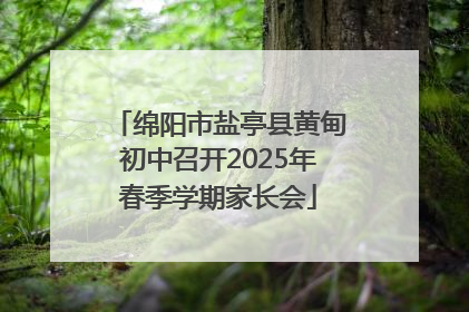 绵阳市盐亭县黄甸初中召开2025年春季学期家长会