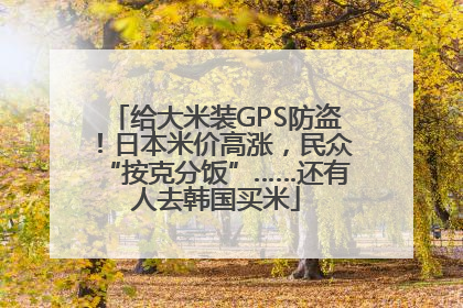 给大米装GPS防盗！日本米价高涨，民众“按克分饭”……还有人去韩国买米