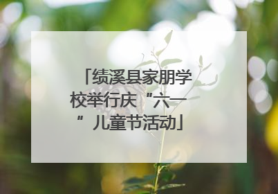 绩溪县家朋学校举行庆“六一”儿童节活动