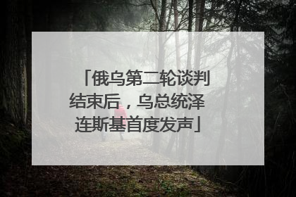 俄乌第二轮谈判结束后，乌总统泽连斯基首度发声