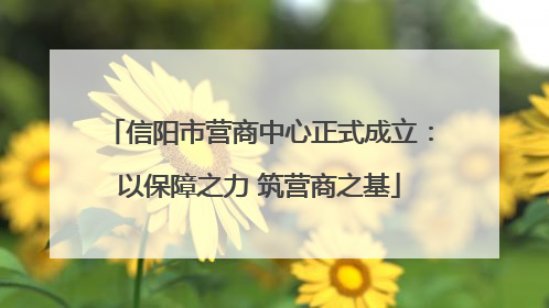 信阳市营商中心正式成立：以保障之力 筑营商之基