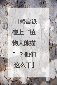修高铁碰上“植物大熊猫”？他们这么干