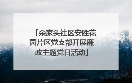 余家头社区安胜花园片区党支部开展廉政主题党日活动