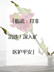 临武：打非治违！深入矿区护平安