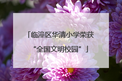 临潼区华清小学荣获“全国文明校园”