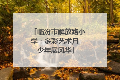 临汾市解放路小学：多彩艺术月 少年展风华