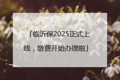临沂保2025正式上线，缴费开始办理啦