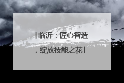 临沂：匠心智造，绽放技能之花
