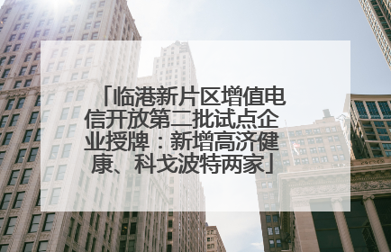 临港新片区增值电信开放第二批试点企业授牌：新增高济健康、科戈波特两家