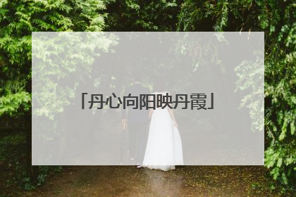 丹心向阳映丹霞