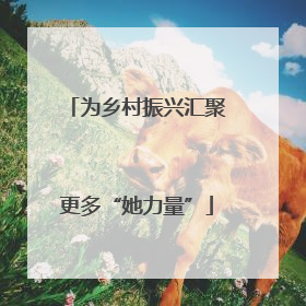 为乡村振兴汇聚更多“她力量”