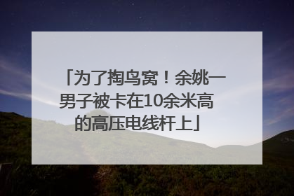为了掏鸟窝！余姚一男子被卡在10余米高的高压电线杆上