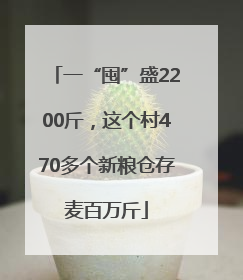 一“囤”盛2200斤，这个村470多个新粮仓存麦百万斤
