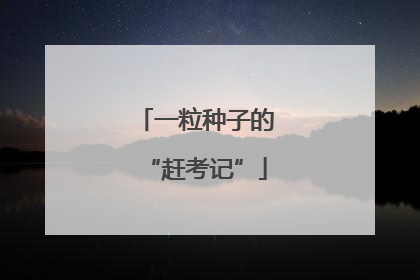 一粒种子的“赶考记”