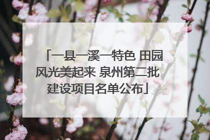 一县一溪一特色 田园风光美起来 泉州第二批建设项目名单公布