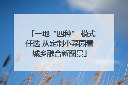 一地“四种” 模式任选 从定制小菜园看城乡融合新图景