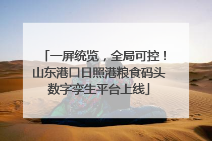 一屏统览，全局可控！山东港口日照港粮食码头数字孪生平台上线