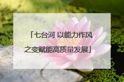 七台河 以能力作风之变赋能高质量发展