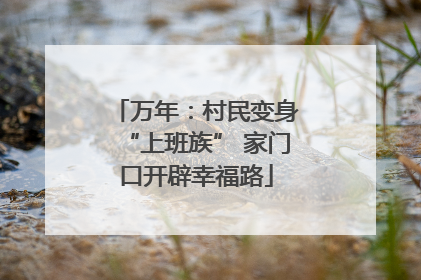 万年：村民变身“上班族” 家门口开辟幸福路