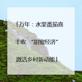 万年：水果番茄喜丰收 “甜蜜经济”激活乡村新动能
