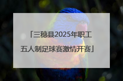 三穗县2025年职工五人制足球赛激情开赛