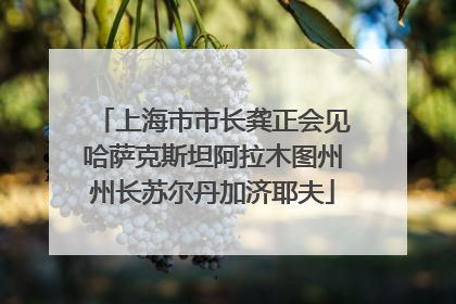 上海市市长龚正会见哈萨克斯坦阿拉木图州州长苏尔丹加济耶夫
