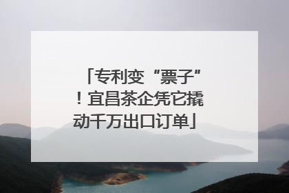 专利变“票子”！宜昌茶企凭它撬动千万出口订单