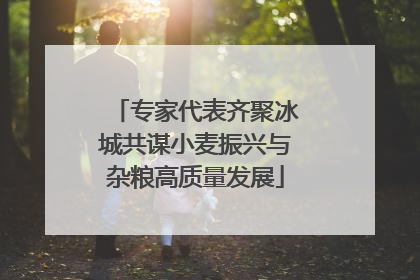 专家代表齐聚冰城共谋小麦振兴与杂粮高质量发展