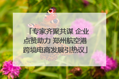 专家齐聚共谋 企业点赞助力 郑州航空港跨境电商发展引热议