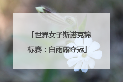 世界女子斯诺克锦标赛：白雨露夺冠