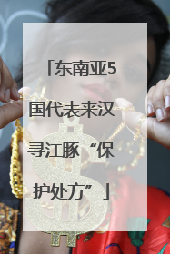 东南亚5国代表来汉寻江豚“保护处方”