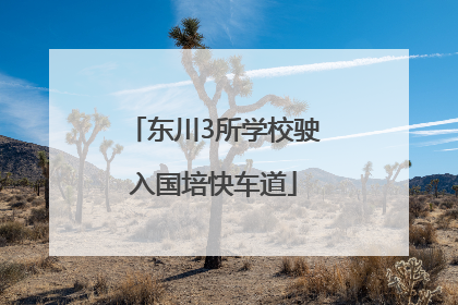 东川3所学校驶入国培快车道