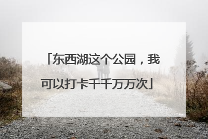 东西湖这个公园，我可以打卡千千万万次