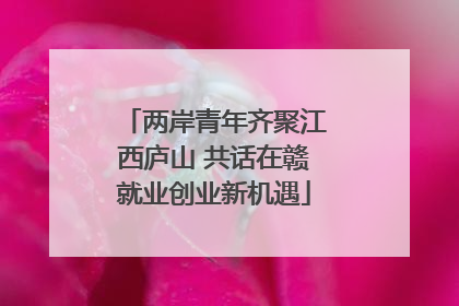 两岸青年齐聚江西庐山 共话在赣就业创业新机遇