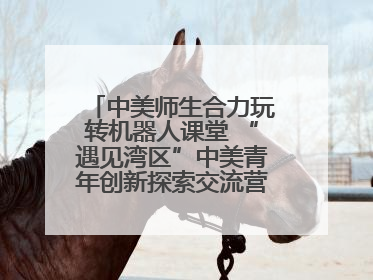 中美师生合力玩转机器人课堂 “遇见湾区”中美青年创新探索交流营在深圳开营