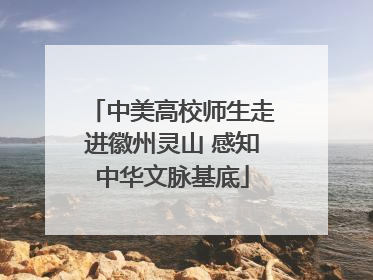 中美高校师生走进徽州灵山 感知中华文脉基底