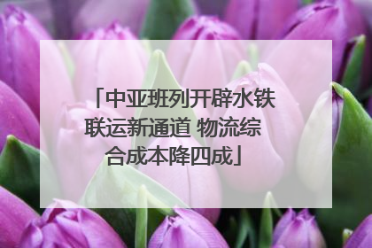 中亚班列开辟水铁联运新通道 物流综合成本降四成