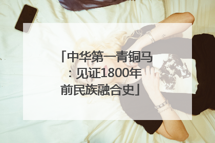 中华第一青铜马：见证1800年前民族融合史