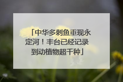 中华多刺鱼重现永定河！丰台已经记录到动植物超千种