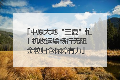 中原大地“三夏”忙丨机收运输畅行无阻 金粒归仓保障有力