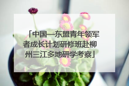 中国—东盟青年领军者成长计划研修班赴柳州三江多地研学考察