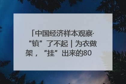 中国经济样本观察·“镇”了不起｜为衣做架，“挂”出来的80亿元“衣架产业”