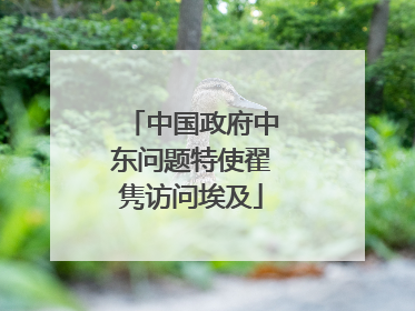 中国政府中东问题特使翟隽访问埃及