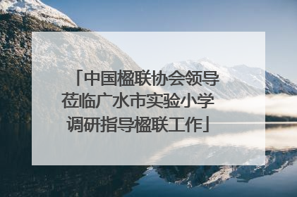 中国楹联协会领导莅临广水市实验小学调研指导楹联工作