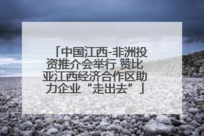 中国江西-非洲投资推介会举行 赞比亚江西经济合作区助力企业“走出去”
