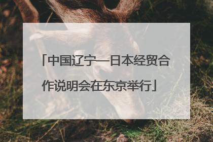 中国辽宁—日本经贸合作说明会在东京举行