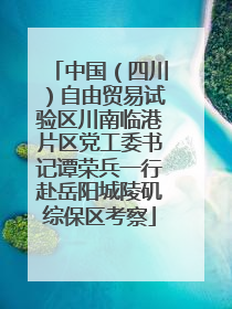 中国（四川）自由贸易试验区川南临港片区党工委书记谭荣兵一行赴岳阳城陵矶综保区考察
