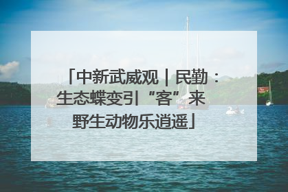 中新武威观｜民勤：生态蝶变引“客”来 野生动物乐逍遥