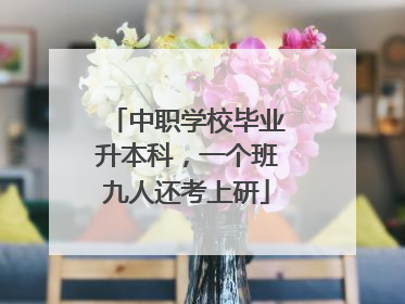 中职学校毕业升本科，一个班九人还考上研
